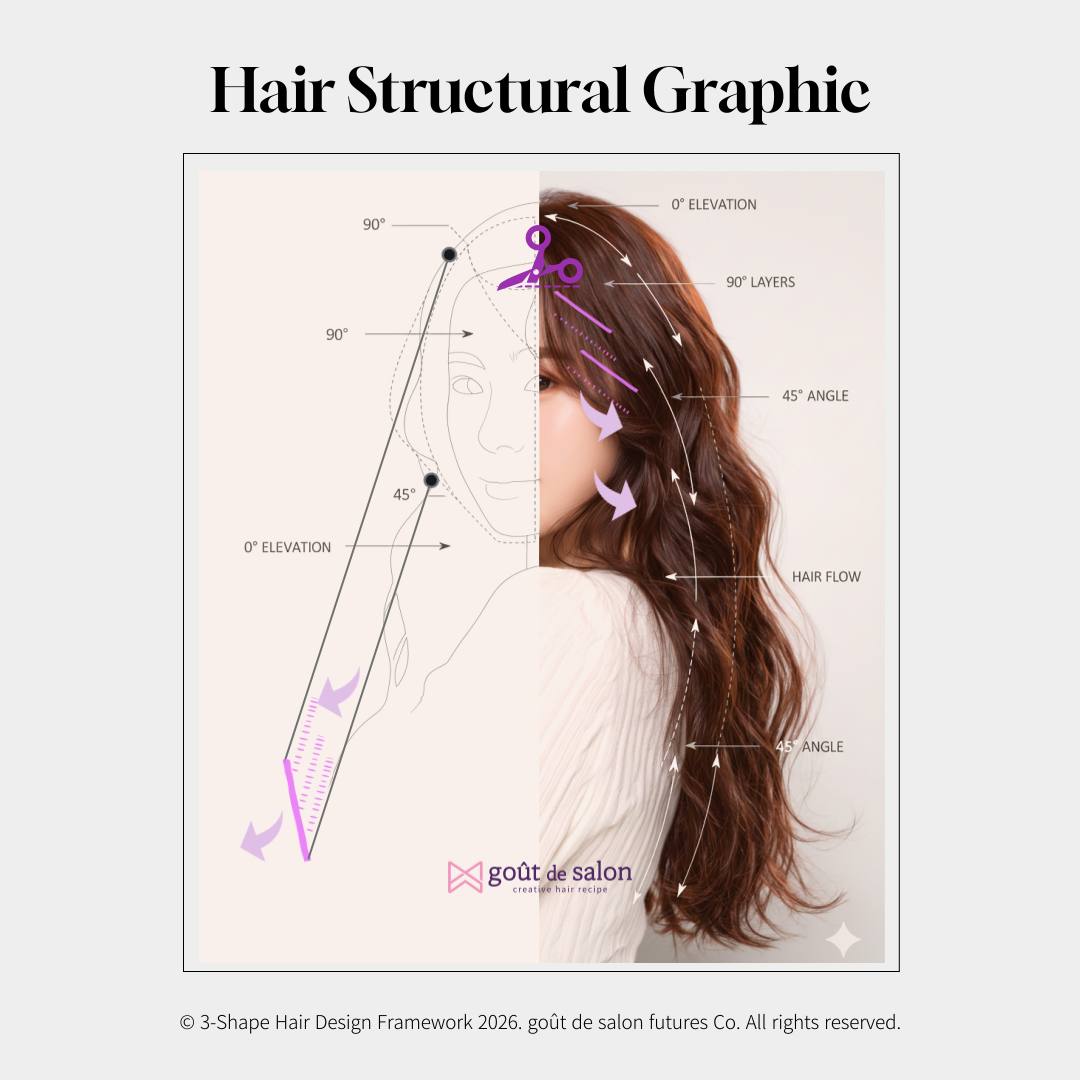 우먼즈 라인 - Hair Structural Graphic  | 상세 시각화 자료